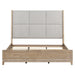 Brentwood Uph Bed image