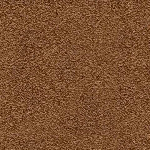 Carianna Sofa Sleeper