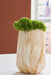 Cammen Vase - Plourde Furniture Co (Caribou, ME)