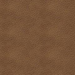 Bolsena Sofa Sleeper - Plourde Furniture Co (Caribou, ME)