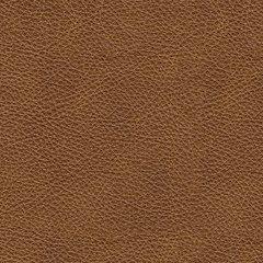 Emilia Sectional - Plourde Furniture Co (Caribou, ME)