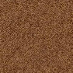 Carianna Loveseat - Plourde Furniture Co (Caribou, ME)