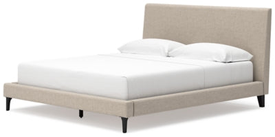 Cielden Upholstered Bed with Roll Slats - Plourde Furniture Co (Caribou, ME)