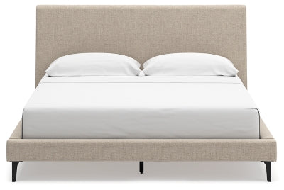 Cielden Upholstered Bed with Roll Slats - Plourde Furniture Co (Caribou, ME)