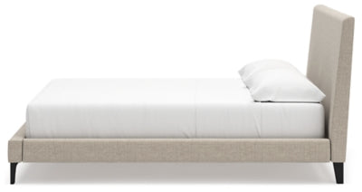 Cielden Upholstered Bed with Roll Slats - Plourde Furniture Co (Caribou, ME)