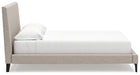 Cielden Upholstered Bed with Roll Slats - Plourde Furniture Co (Caribou, ME)