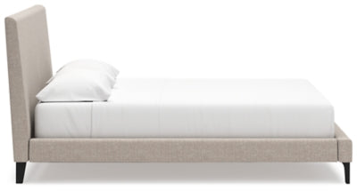 Cielden Upholstered Bed with Roll Slats - Plourde Furniture Co (Caribou, ME)