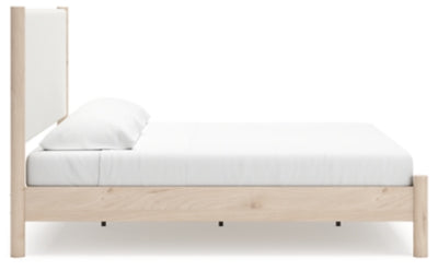 Cadmori Upholstered Bed - Plourde Furniture Co (Caribou, ME)