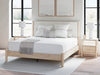 Cadmori Upholstered Bed - Plourde Furniture Co (Caribou, ME)