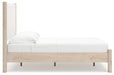 Cadmori Upholstered Bed - Plourde Furniture Co (Caribou, ME)