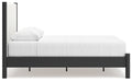 Cadmori Upholstered Bed - Plourde Furniture Co (Caribou, ME)