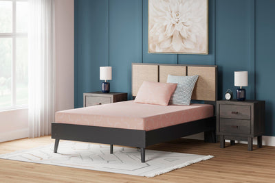 iKidz Coral Mattress and Pillow - Plourde Furniture Co (Caribou, ME)