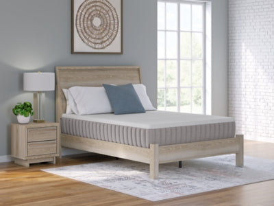 Terra Sleep Firm Mattress - Plourde Furniture Co (Caribou, ME)