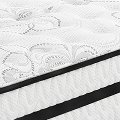 Chime 10 Inch Hybrid Mattress in a Box - Plourde Furniture Co (Caribou, ME)