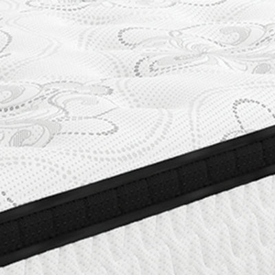 Chime 12 Inch Hybrid Mattress in a Box - Plourde Furniture Co (Caribou, ME)
