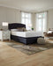 Chime 12 Inch Memory Foam Mattress in a Box - Plourde Furniture Co (Caribou, ME)