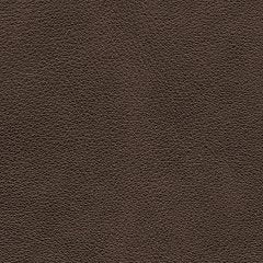 Crossplex Power Reclining Sofa - Plourde Furniture Co (Caribou, ME)