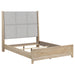Brentwood Uph Bed image