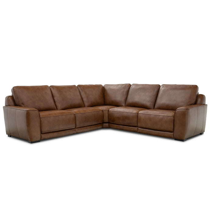 Blake Sectional image